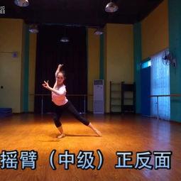 上蔡李斯成人舞蹈视频,探寻古典与现代交融的艺术魅力