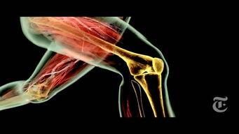 成人神经放松训练视频