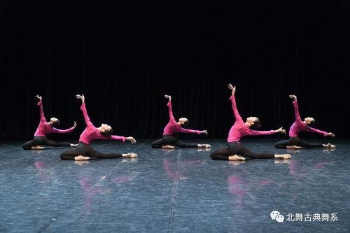 古典舞成人课程视频,优雅转身，舞动人生