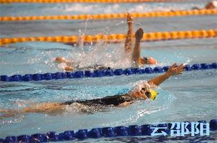 成人游泳队比赛视频,速度与激情的竞技盛宴