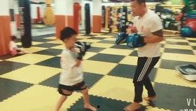 成人学散打实战视频大全,成人学散打必备视频大全深度解读