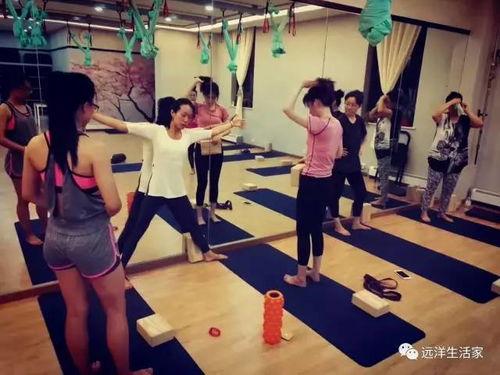 成人健身器械操视频,高效塑形，轻松塑身教程